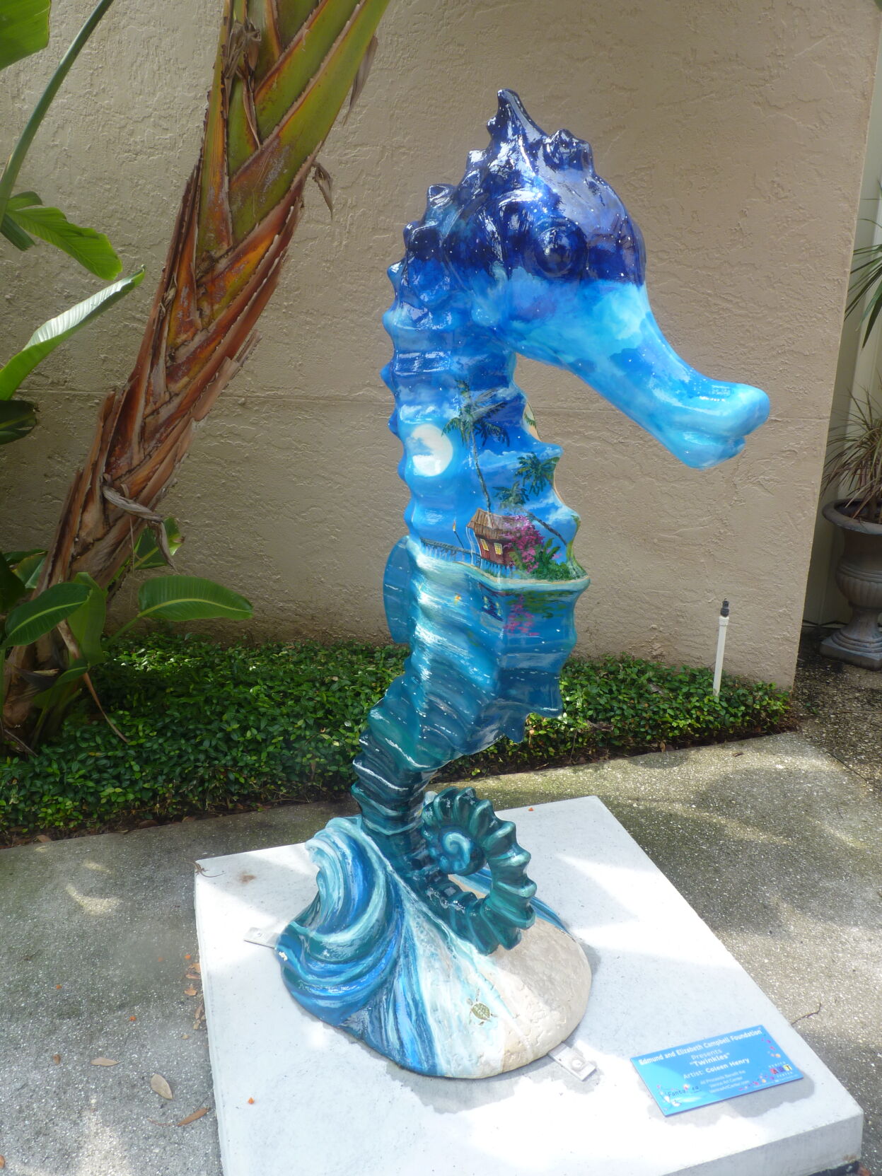 Twinkles 9 seahorse.JPG